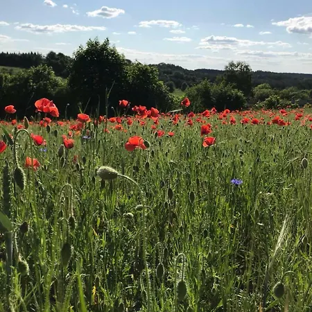 Prázdninový dům Przystanek Kaszuby Z Balia I Jacuzzi